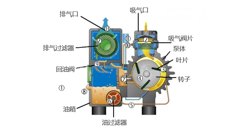 真空泵結(jié)構(gòu)圖